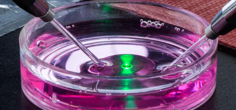 Domaine scientifique Biologie
